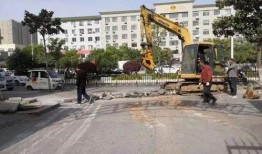 南阳学校爆料案件最新,真相揭开，校园安全再引关注