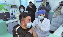 开封肺炎最新爆料,揭秘病毒变异与防控策略